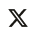 Visit X